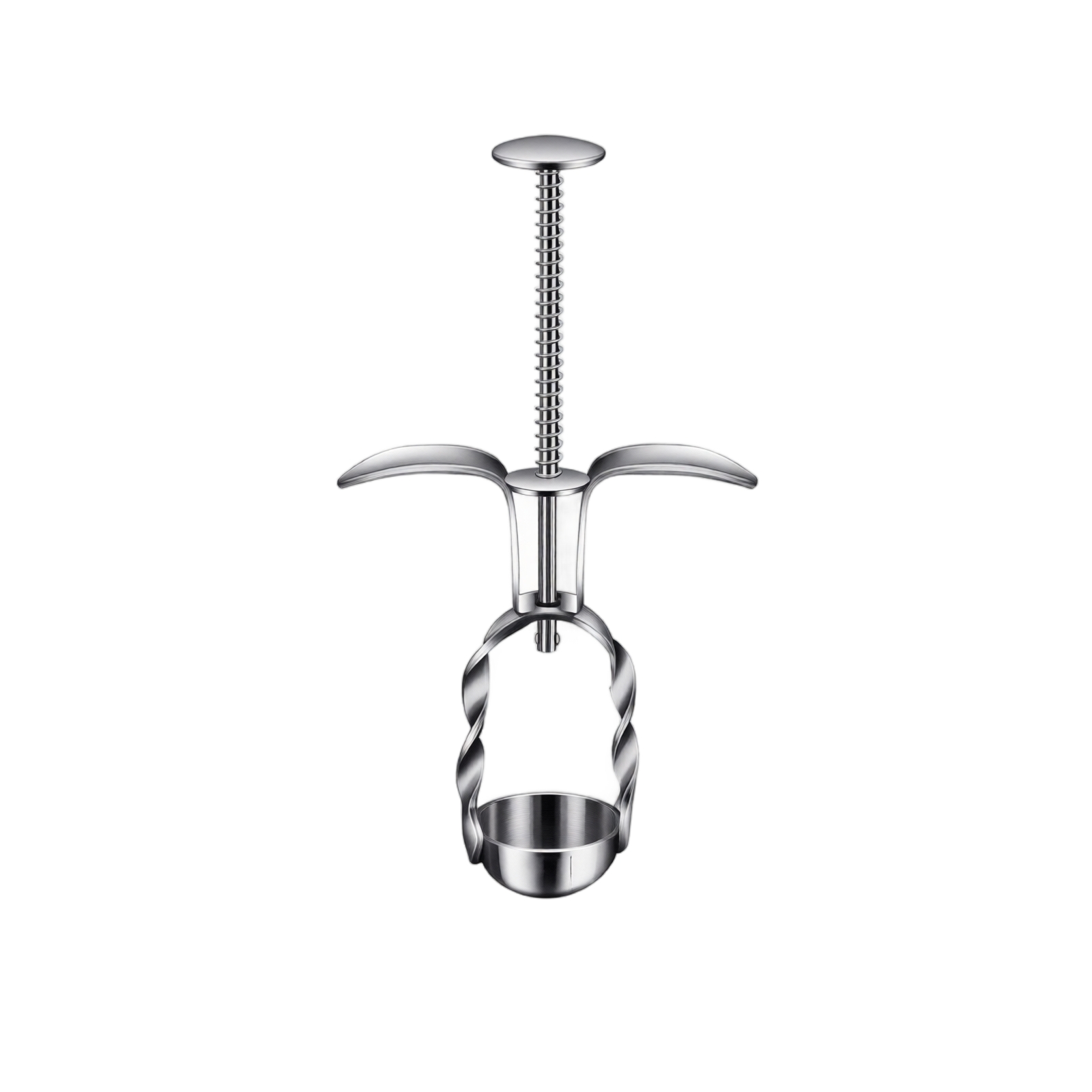 Roestvrijstalen rode dadelontp - Kitchen Baking Tools recensie en prijs